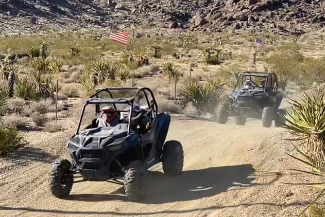 Ultimate Hidden Valley and Primm RZR Adventure