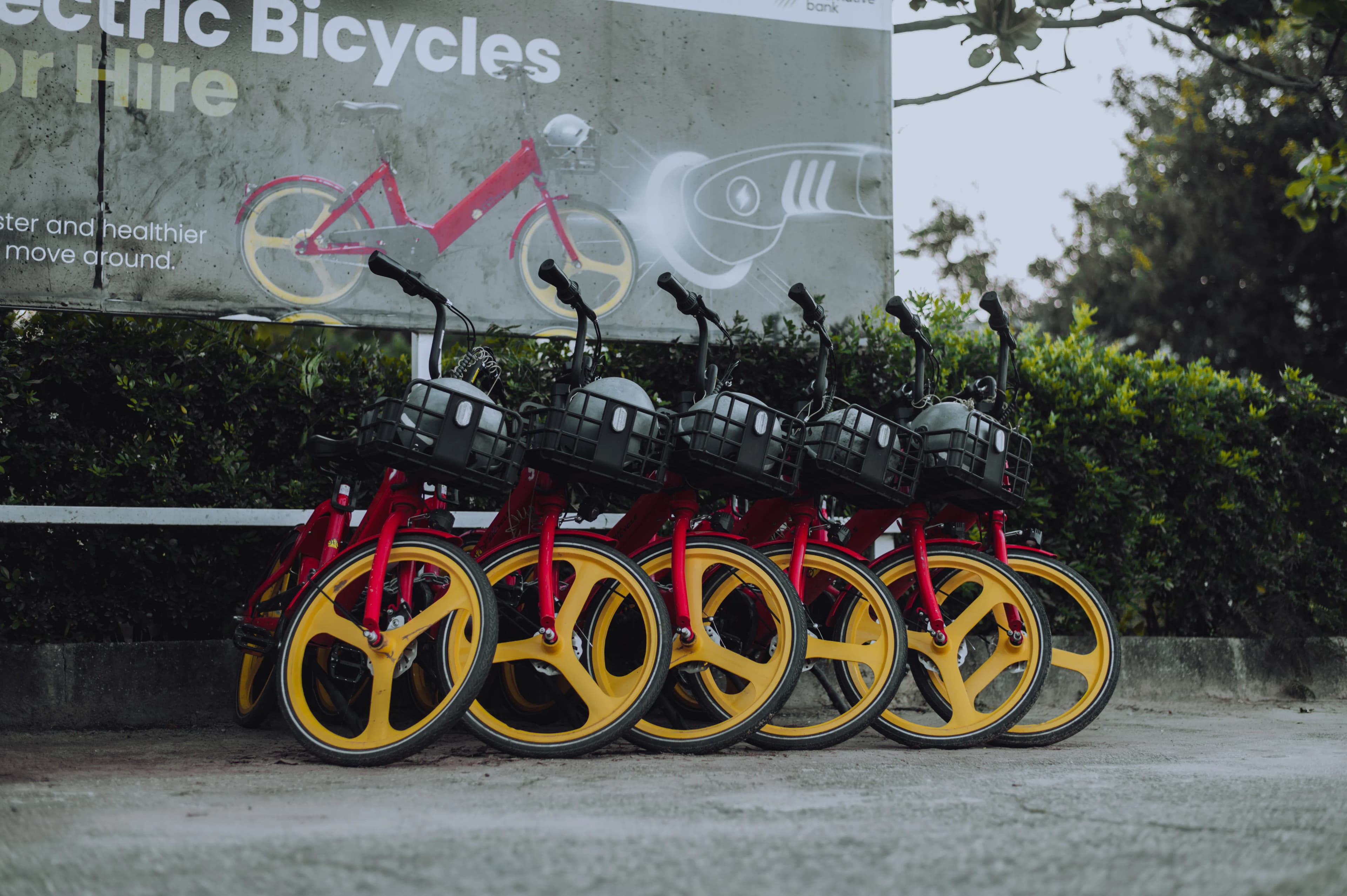 Electric Bike Rentals