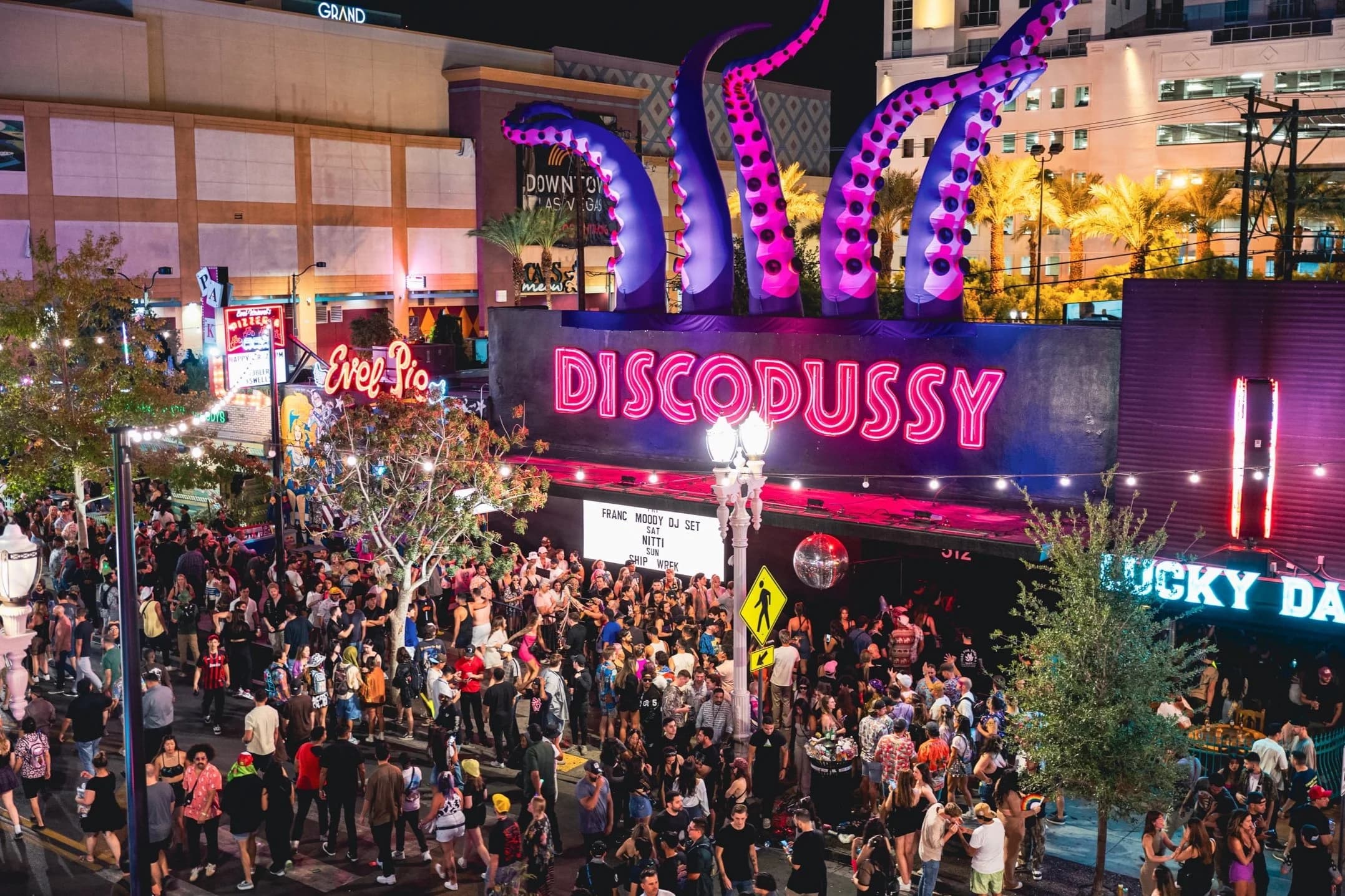 Discopussy photo 1
