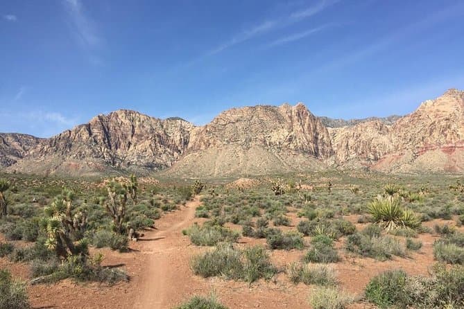 Guided or Self-Guided Road Bike Tour of Red Rock Canyon photo 2