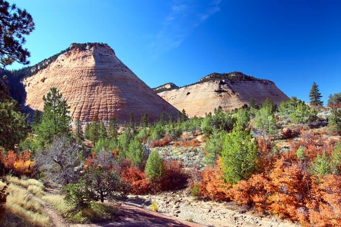 Zion and Bryce Canyon Self-Guided Driving Tour Bundle