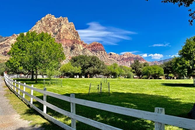 Award Winning Red Rock Canyon Tours photo 2